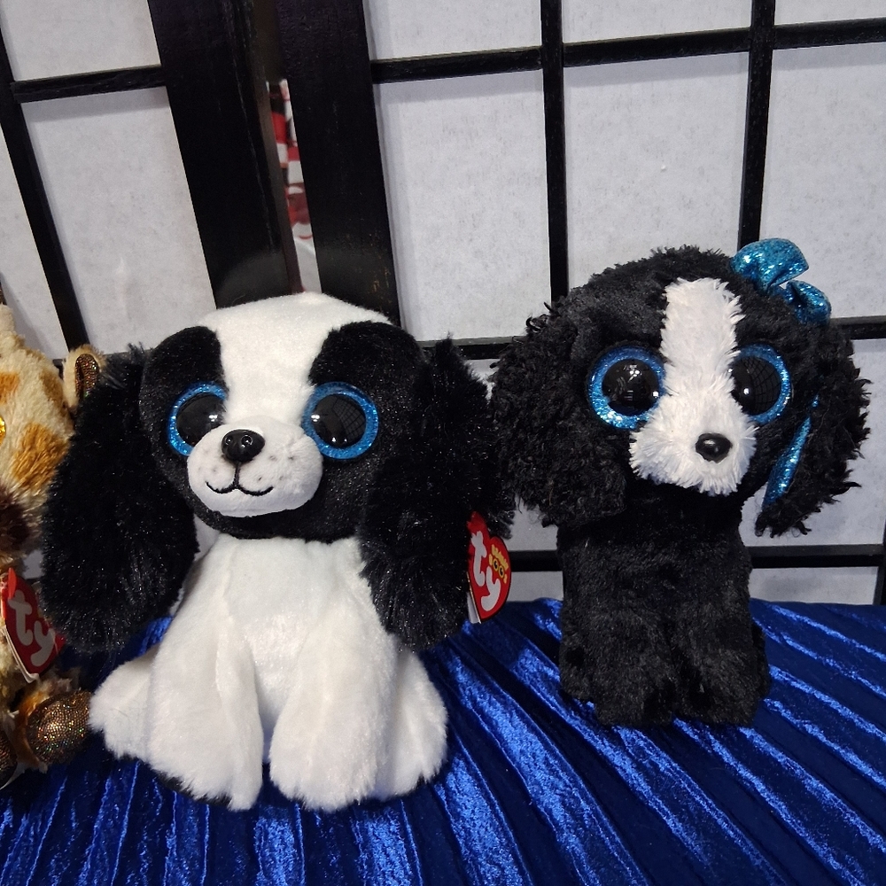 Set of 5 Colorful Plush Toys. Ty Beanie - Picture 4 of 15